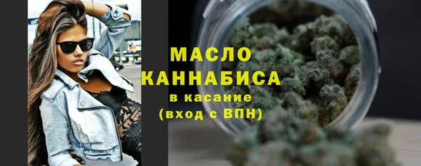 индика Ладушкин