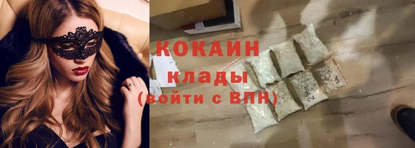 индика Ладушкин