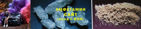 ГАЛЛЮЦИНОГЕННЫЕ ГРИБЫ Лагань