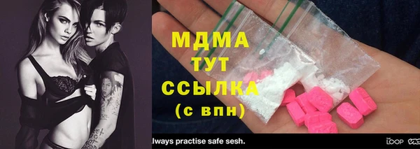 ГАЛЛЮЦИНОГЕННЫЕ ГРИБЫ Лагань