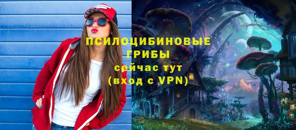 амф Коряжма