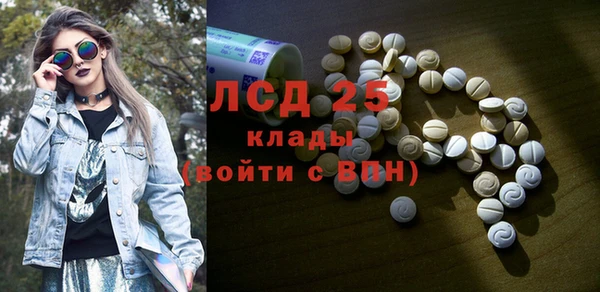 индика Ладушкин