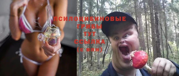 стаф Лабытнанги