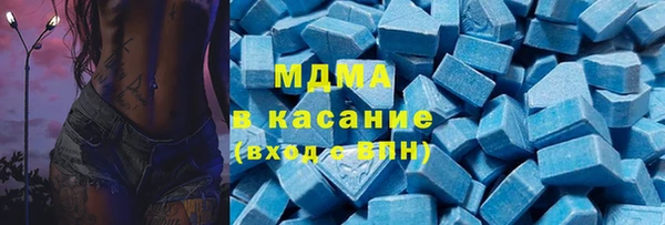 индика Ладушкин