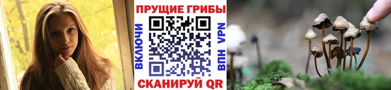 Галлюциногенные грибы MAGIC MUSHROOMS  Куровское 